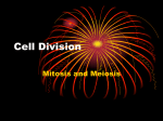 Cell Division