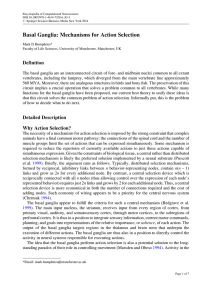 Basal Ganglia: Mechanisms for Action Selection