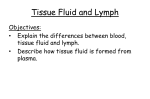 Tissue Fluid and Lymph