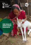 one health (infectious diseases)