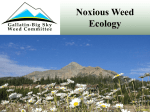 Noxious Weed Management and Native Plant Ecology