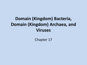 Domain (Kingdom) Bacteria, Domain (Kingdom