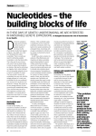 Nucleotides – the building blocks of life