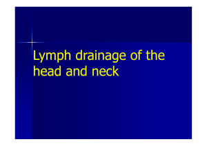 Lymph drainage of the head and neck