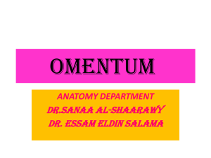 6-Anatomy of OMENTUM2016-12
