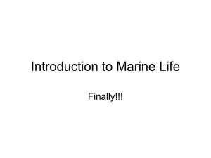 Introduction to Marine Life