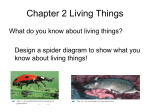 CHAPTER 1 LIVING THINGS