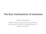Four Mechanisms of Evolution (PowerPoint) Southeast 2012