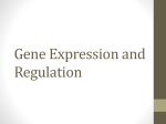 Gene Expression and Regulation