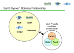 The carbon cycle at global and regional scales: Combining diverse