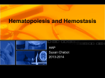 Hematopoiesis and Hemostasis