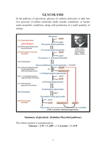 Summary of glycolysis (Embden
