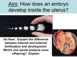 Embryo - Hicksville Public Schools