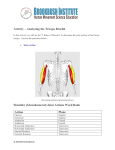Activity – Analyzing the Triceps Brachii Shoulder (Glenohumeral