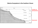 Lecture VII: Marine ecosystems