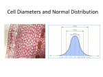 Cell Diameters and Normal Distribution