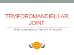 Temporomandibular joint