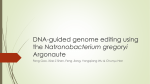 DNA-guided genome editing using the
