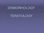 teratology - WordPress.com