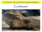 15.1 darwin`s theory of natural selection 2