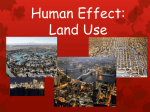 Human Effect on Land Use