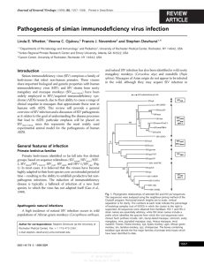 Pathogenesis of simian immunodeficiency virus infection