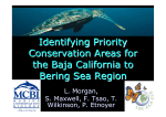 Identifying Priority Conservation Areas for the Baja California to