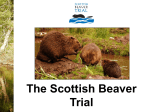 Introduction - Scottish Beaver Trial