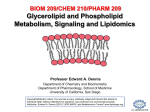 Glycerolipids and Glycerophospholipids