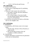 Ch 10: Cell Growth and Division