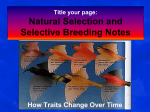 Artificial Selection - Northwest ISD Moodle