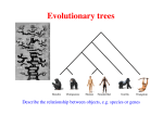 Evolutionary trees