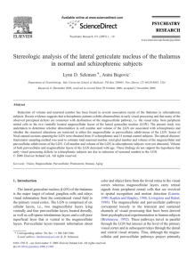 Stereologic analysis of the lateral geniculate nucleus of the