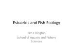 Estuaries and Fish Ecology