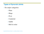 Types of Synovial Joints Six major categories:
