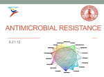 K pneumoniae, E coli