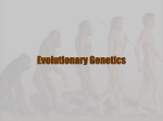 7.5 Population Genetics
