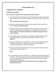 Urinary System Lab 2014 Answers