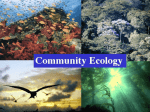 Community Ecology Structure and Species Interaction