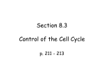 Section 8.3 Control of the Cell Cycle