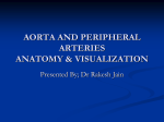 AORTA AND PERIPHERAL ARTERIES ANATOMY
