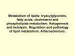 03. Metabolism of lipids