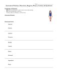Anatomical Position, etc. Notes Handout