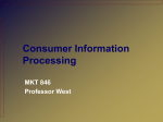Consumer Information Processing