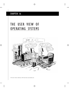 THE USER VIEW OF OPERATING SYSTEMS