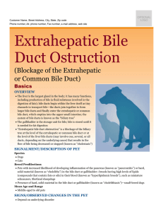 extrahepatic_bile_duct_ostruction