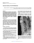 Vascular Anatomy of the Fifth Metatarsal