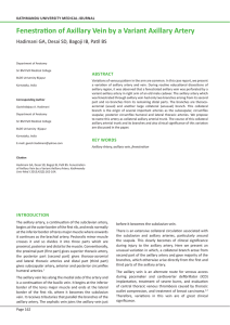 Fenestration of Axillary Vein by a Variant Axillary Artery