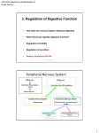 3. Regulation of Digestive Function