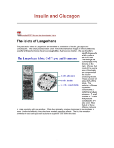 Insulin and Glucagon